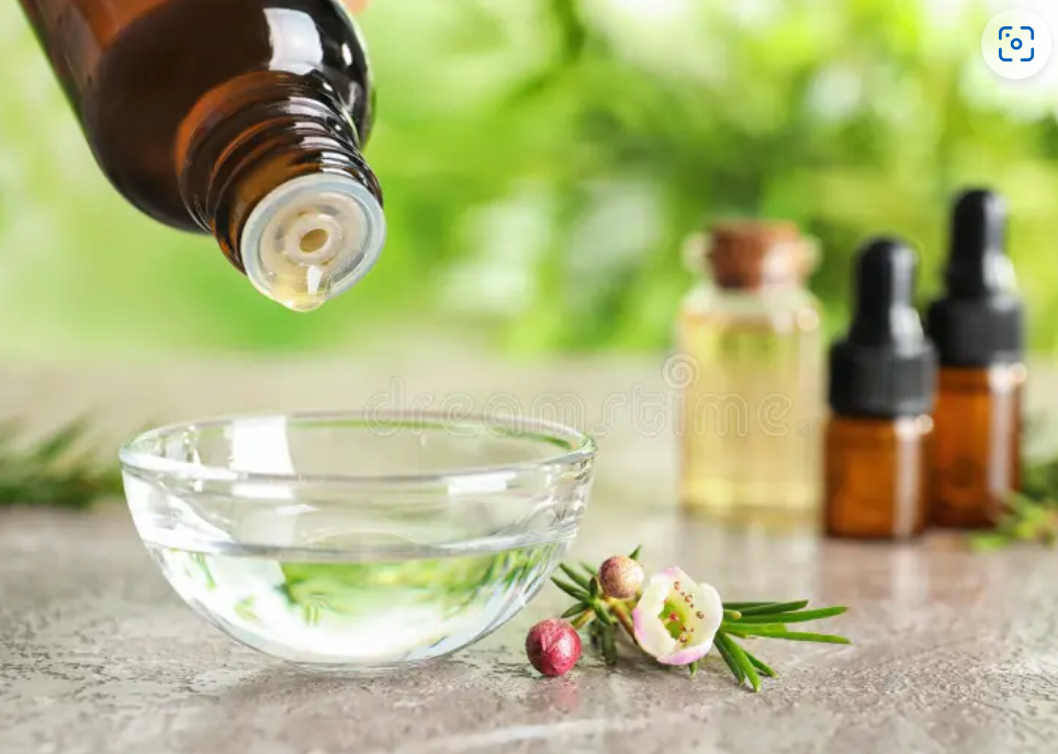 tea tree oil for dandruff control