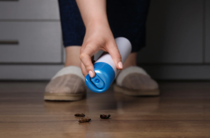 Choosing Pest Control Fair Lawn for Lasting Results