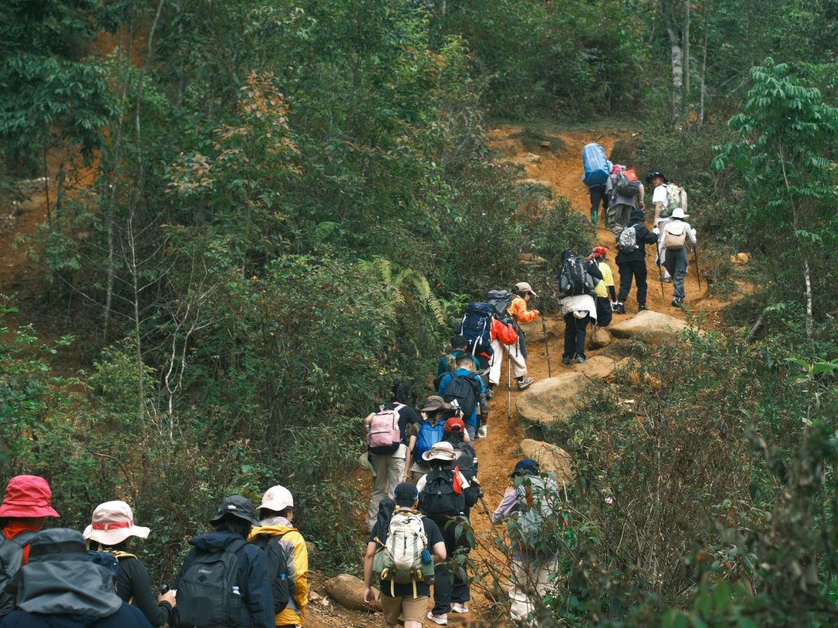trai-nghiem-trekking-xuyen-rung-cat-ba