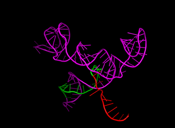 A colorful wire structure on a black background

Description automatically generated