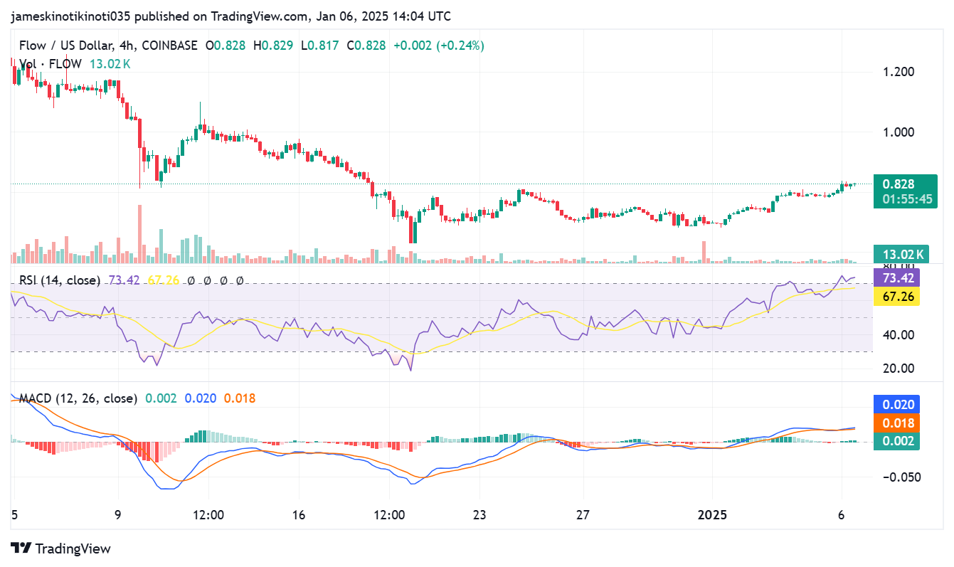 Flow 4-hour price chart