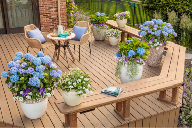 best plants for your michigan deck potted hydrangeas on decking ledge custom built okemos