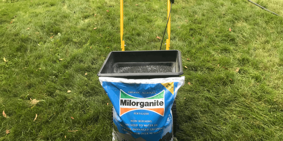 Environmental and Safety Considerations