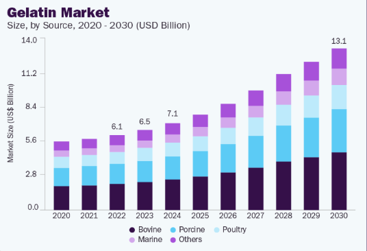 The Global Gelatin Market: Growth Prospects and Key Regions
