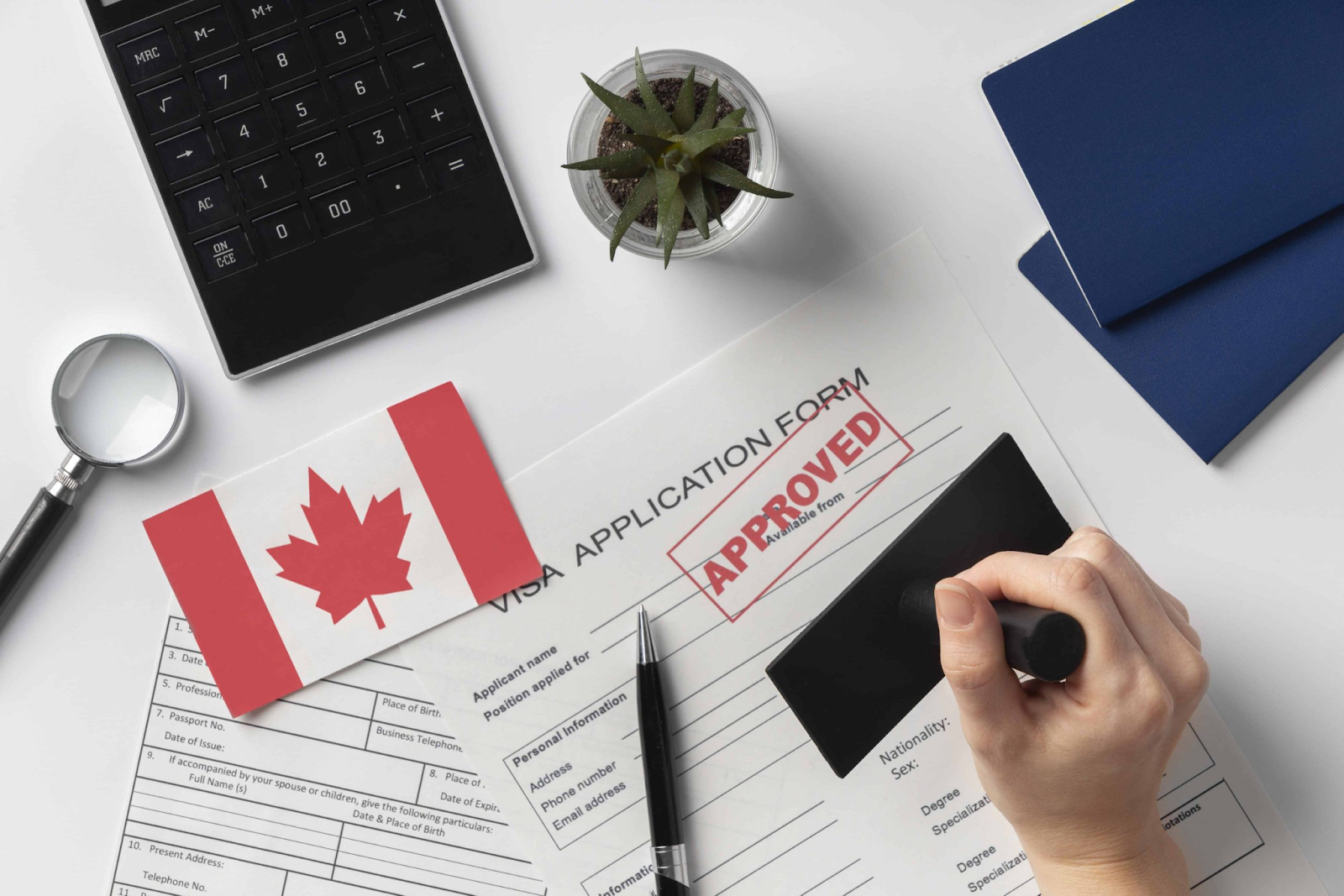 Visa du học Canada được cấp phép theo đúng quy định