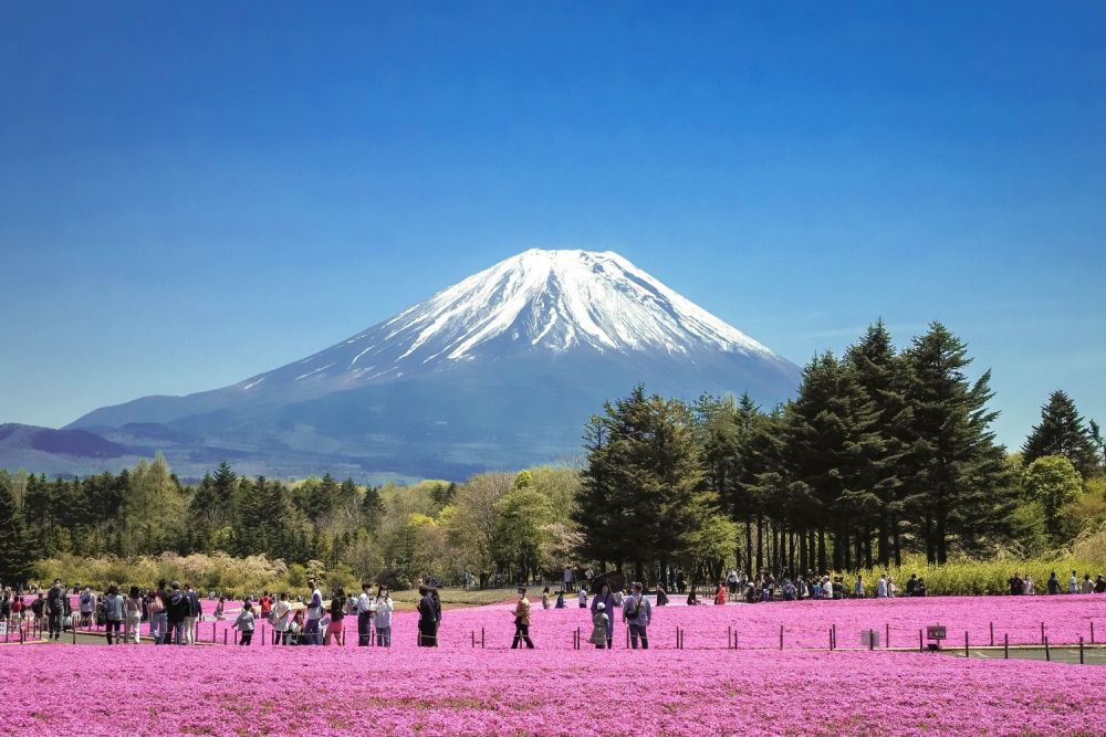 7 Spot Paling Populer untuk Memotret Gunung Fuji di Jepang