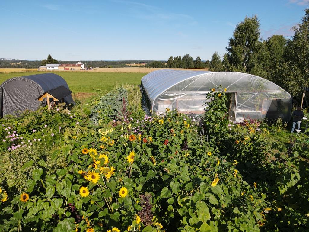 A greenhouse in a field  Description automatically generated