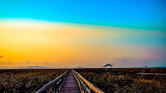 Wooden Bridge in Khao Sam Roi Yod Park, Thailand