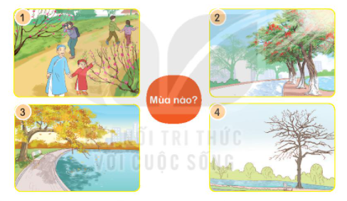 BÀI 2: MÙA NƯỚC NỔI (6 tiết)TIẾT 4: LUYỆN TỪ VÀ CÂU