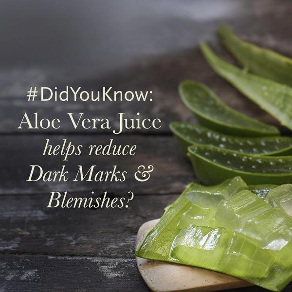 aloe vera for oily skin