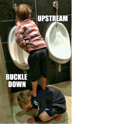 Upstream_buckle_down