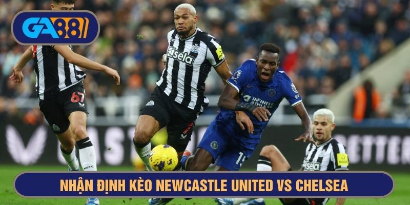 Newcastle đang khiến Chelsea gặp khó ở những mùa gần đây