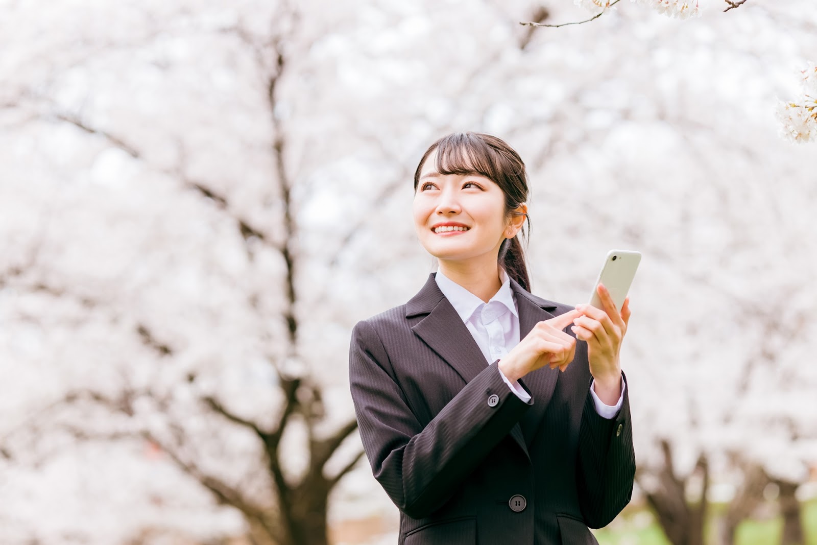 就活の軸とは、志望企業を選ぶ際の基準