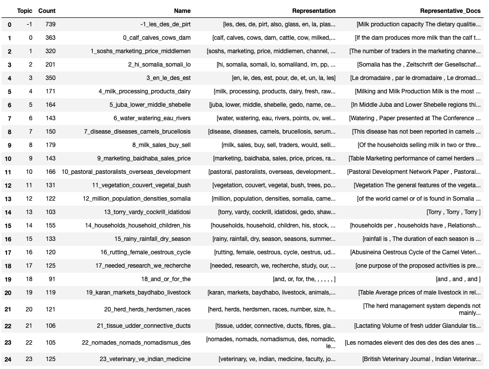 A table with 25 rows and four columns containing data related to various topics. Columns are labeled "Topic Count," "Name," "Representation," and "Representative Docs." Information includes numbers, short phrases, and potentially code-like sequences. Topics seem to relate to camels, pastoralism, and potentially geographical regions.