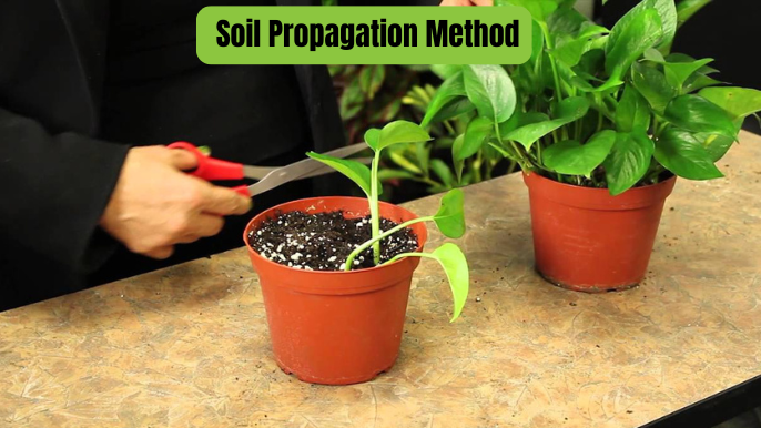 Soil Propagation Method