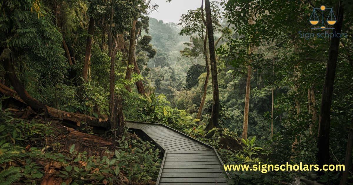 Rain Forests as Eco-Tourism Destinations