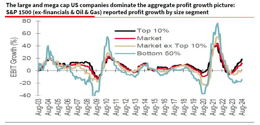 Large mega Cap companies earnings