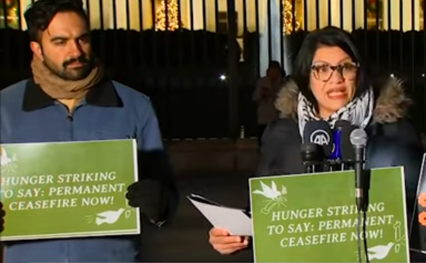 Rashida and Zorhan stand together outside the White House with signs that say Hunger striking to say Permanent Ceasefire Now!