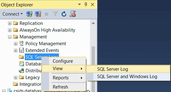 view sql server log