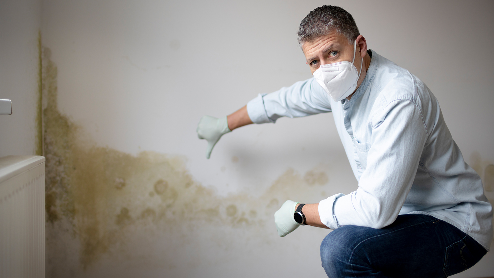 Signs You Need Professional Mold Remediation