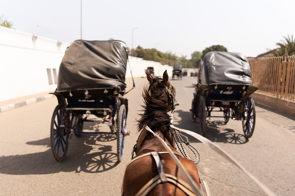 Take a Horse-Drawn Carriage Ride