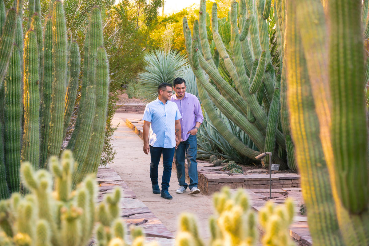 A winter fun in Phoenix Desert Botanical Garden in.