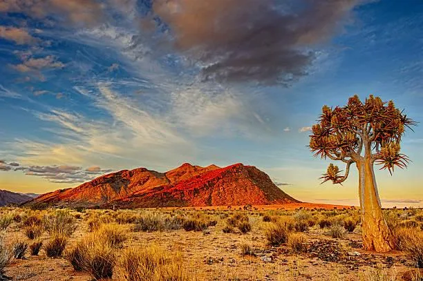 18 Desert Scenes Full of Heat and Beauty, desert landscapes, sun-kissed sand, nature, landscape, dry earth, arid elegance