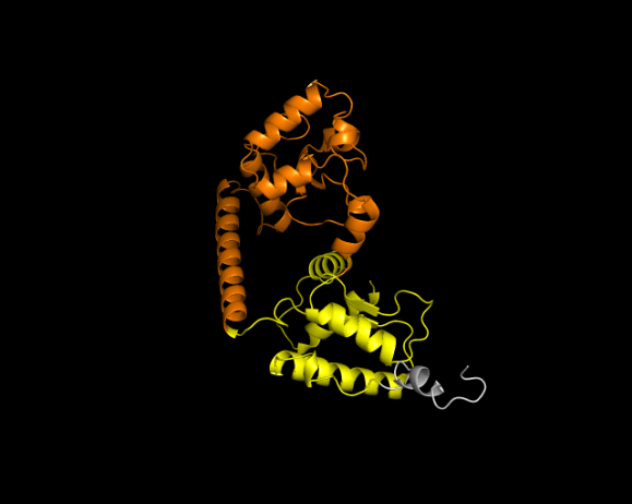 A close-up of a protein

Description automatically generated