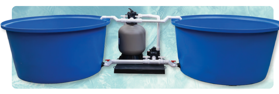  Fish System 2 recirculating system