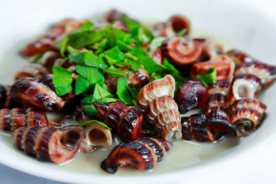 Snails stir-fried with coconut is a specialty of the mangrove forest. Source: taucaotoc.vn 