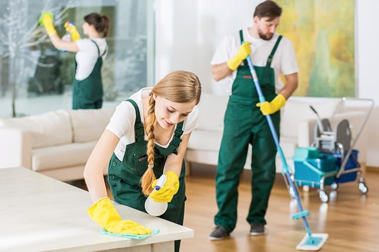 Cleaning professionals