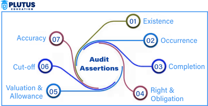 audit assertions