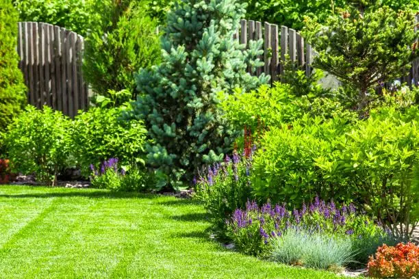 A Glimpse into Nature: 12 Peaceful Landscapes, nature glimpse, peaceful landscapes, nature, landscape, outdoor serenity, scenic photos