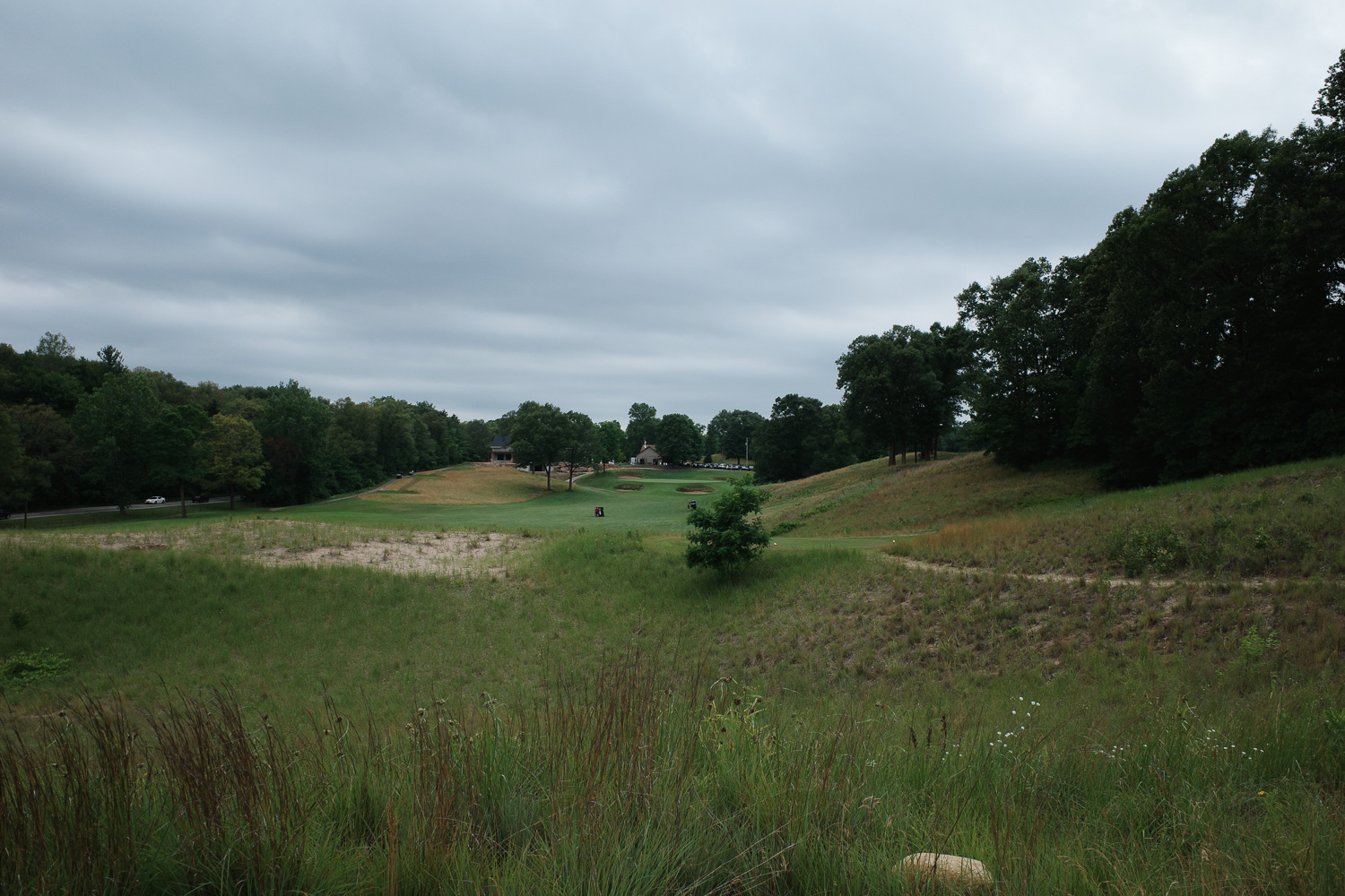 View of distant fairway and green with shrubs in foreground.