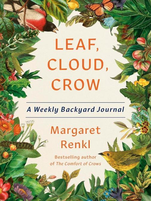 Leaf, cloud, crow book cover