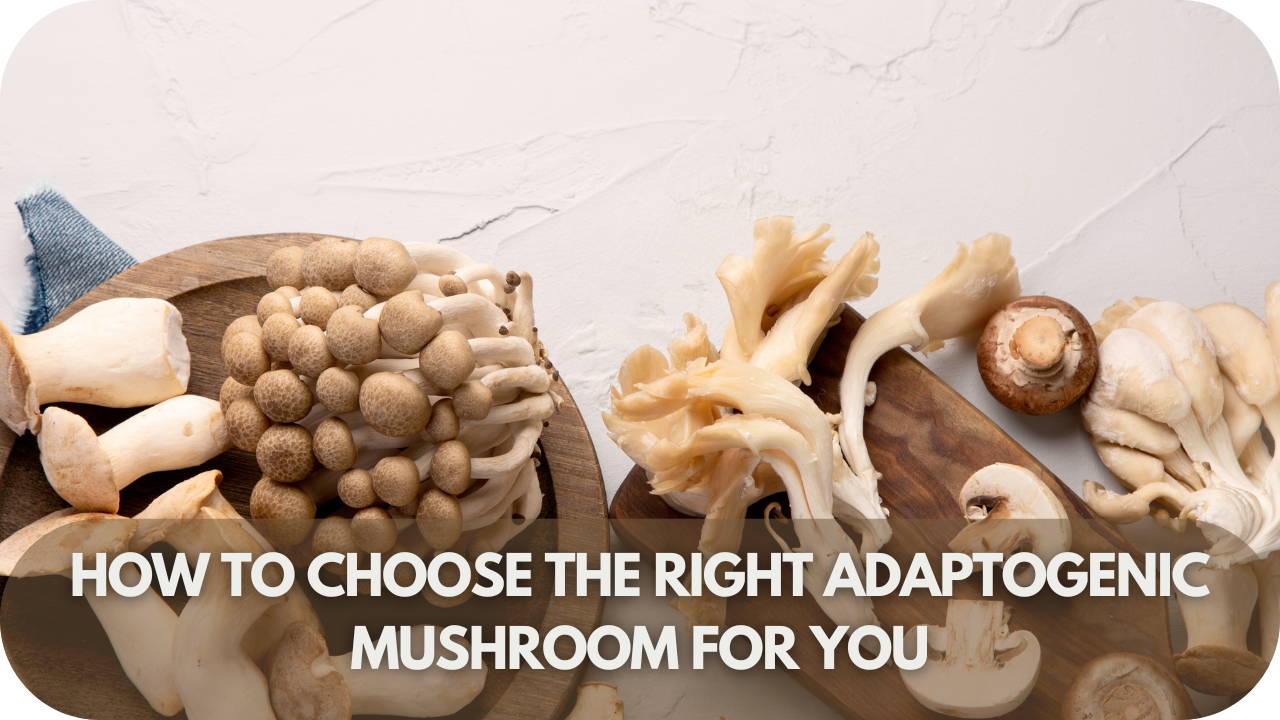 Consider your specific needs, whether it's stress relief, mental clarity, or overall wellness, when choosing the right mushroom.