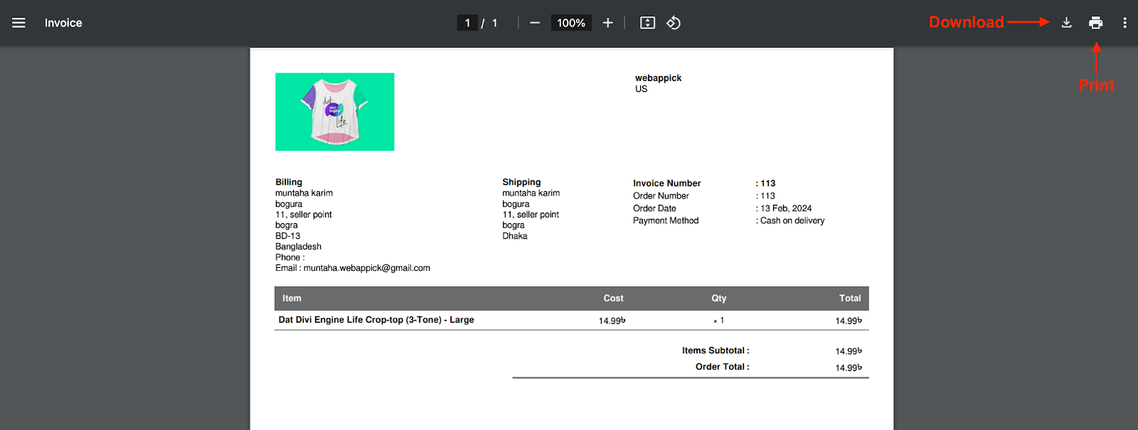 print and download pdf invoice