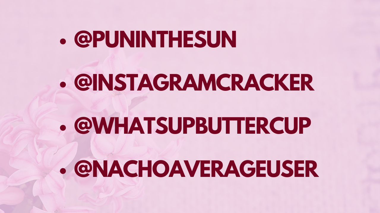 instagram usernames