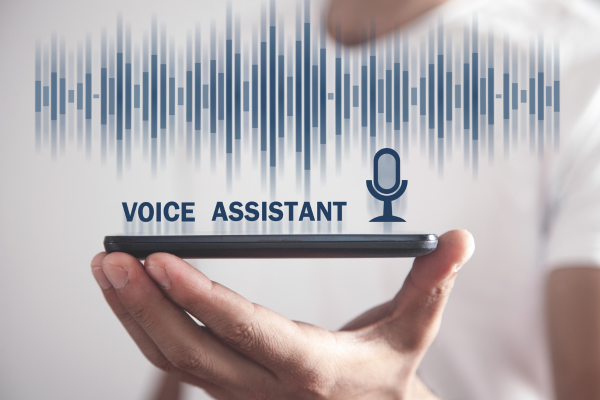 voice search optimization
