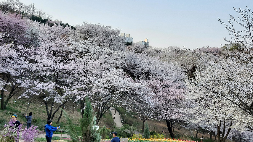 【韓国在住の編集者が厳選!】ソウルで人生最高の写真が撮れる場所3選
