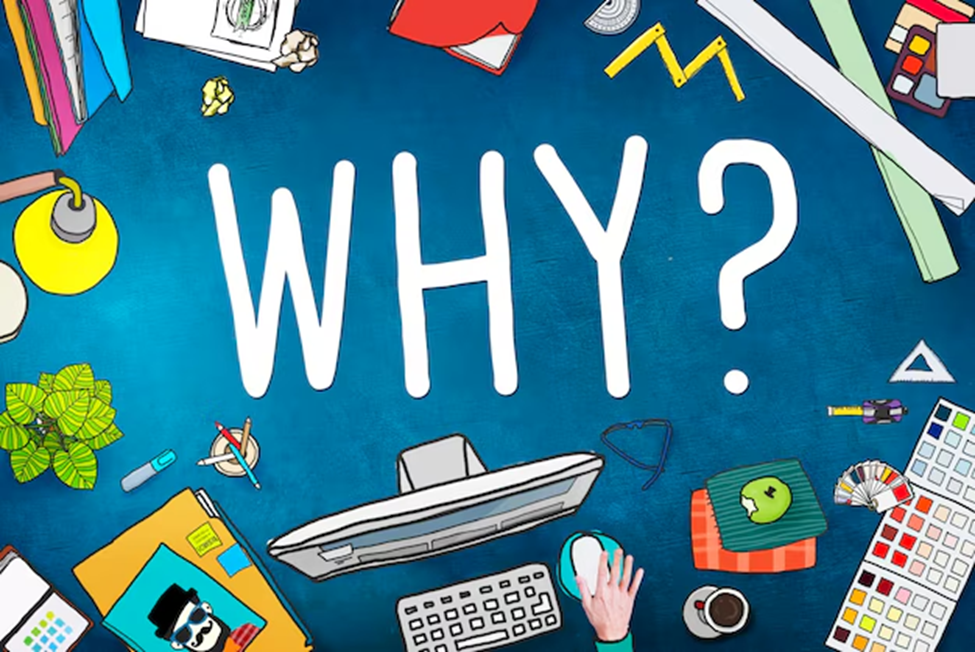 'Why?' with multiple drawings in the background 