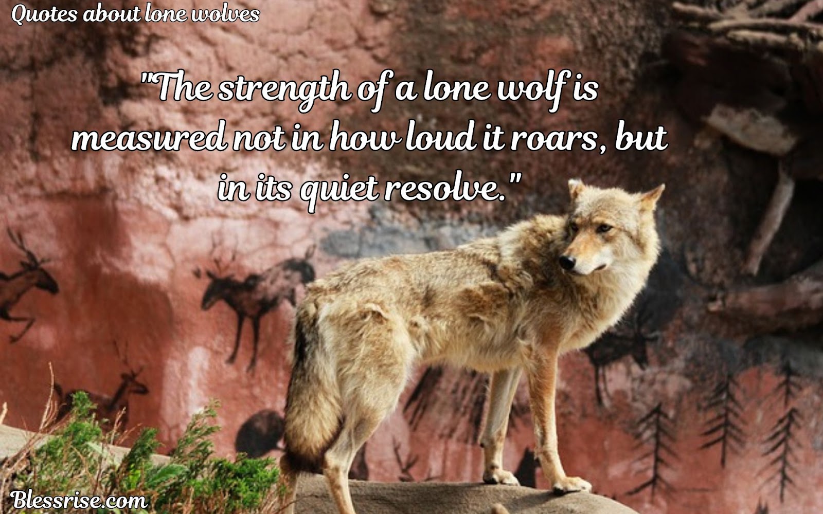 Lone Wolf Spirit
