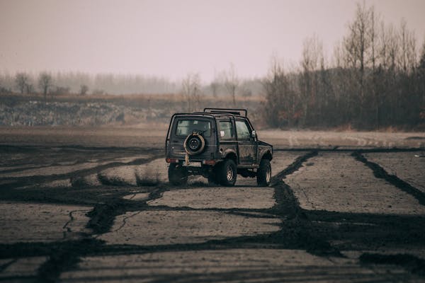 Wholesale Cars: Your Path to Affordable Rides