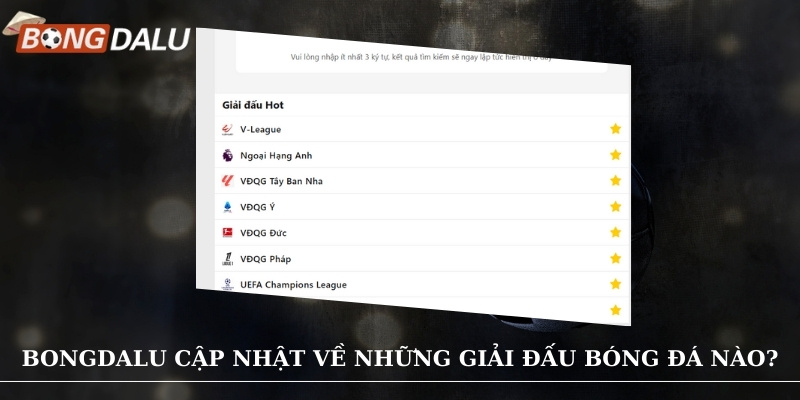 Trang web mang đến thông tin từ những giải đấu bóng đá hàng đầu