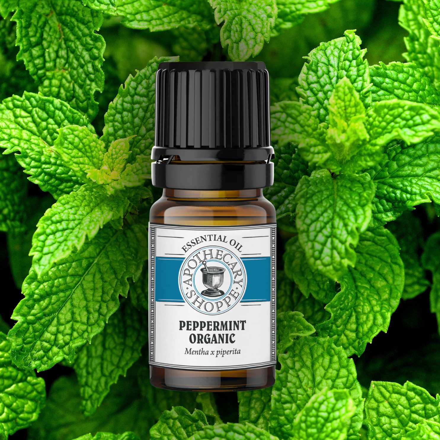 Peppermint Essential Oil