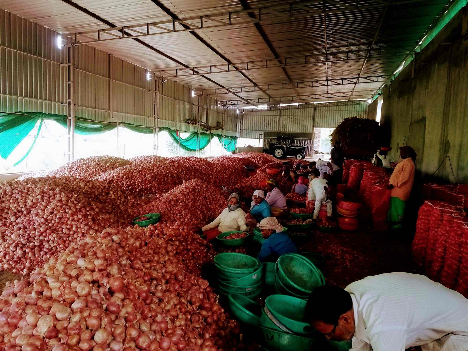 Rates Of Onion According To Nashik