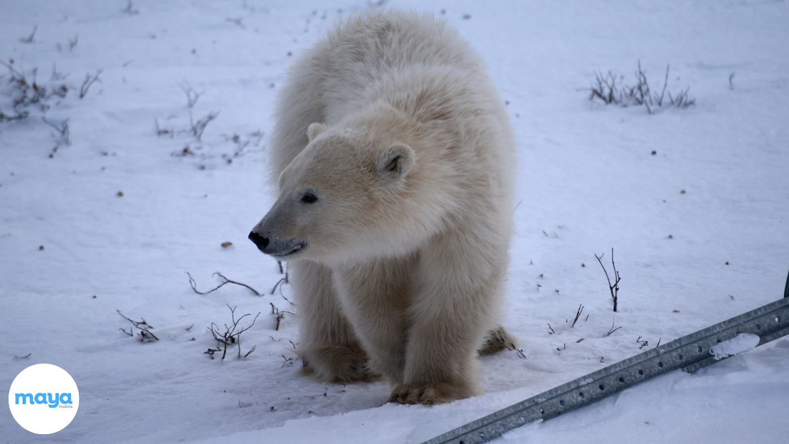 Churchill, Manitoba