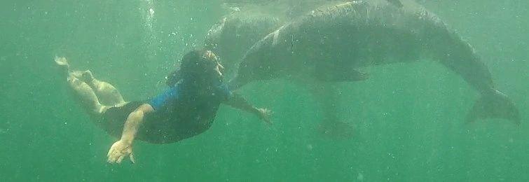 Rachel swimming underwater with dolphins