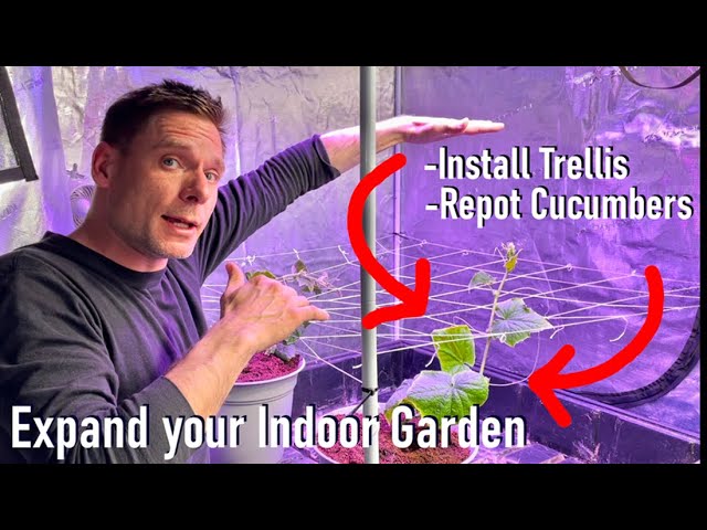 Expand your indoor garden easily