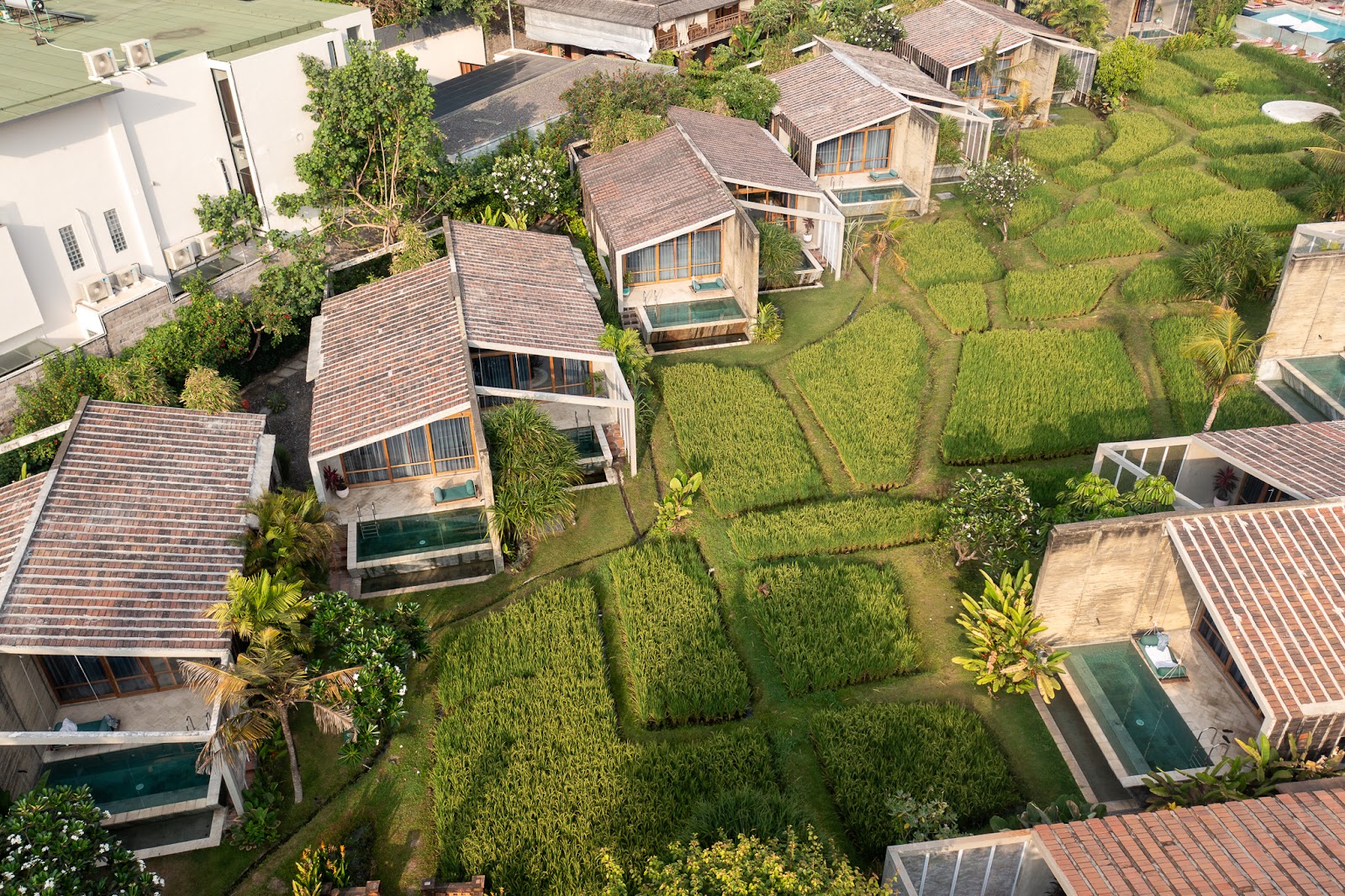 Shore Amora: Canggu’s Best-Kept Secret for the Modern Explorer